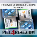 Para Qué Se Utiliza La Gelatina Kamagra viagra5